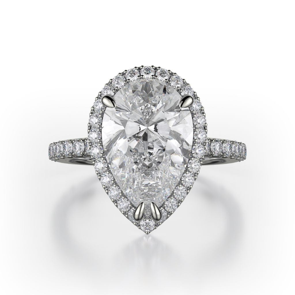 MICHAEL M PLAT SEMI 0.50CTE R320S-2PR-PT