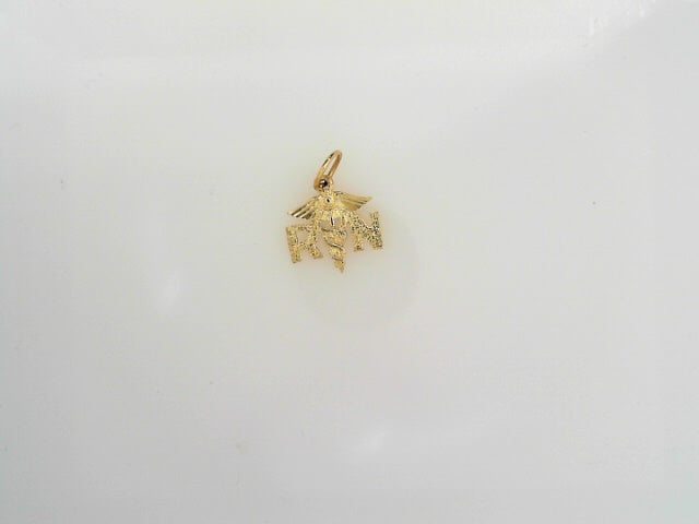 14KYG NURSE RN CHARM