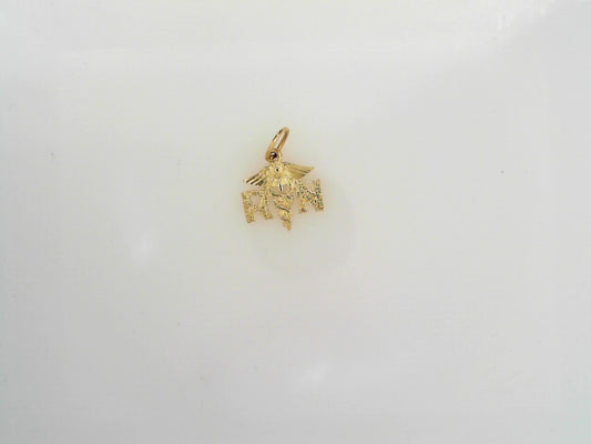 14KYG NURSE RN CHARM