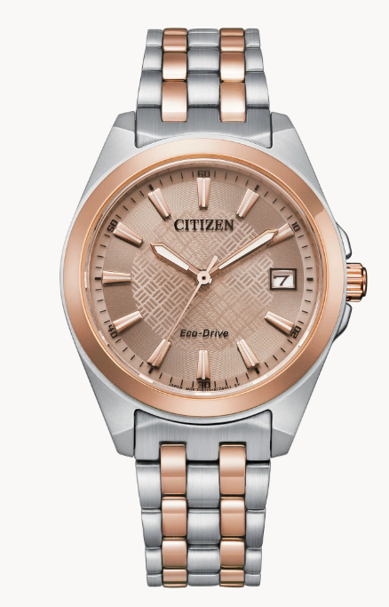 CITIZEN LADIES ECO WR100 SSTRGVBRAC BRWN